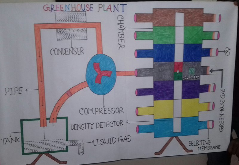 Using this figure GREENHOUSE PLANT can be made