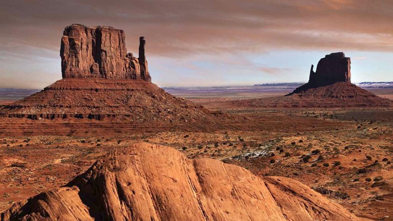 Desert Mojave