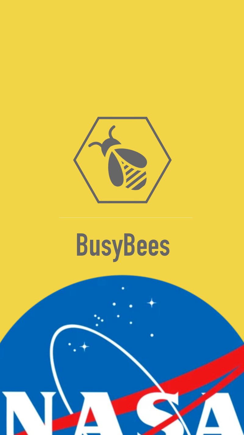 Busy Bees