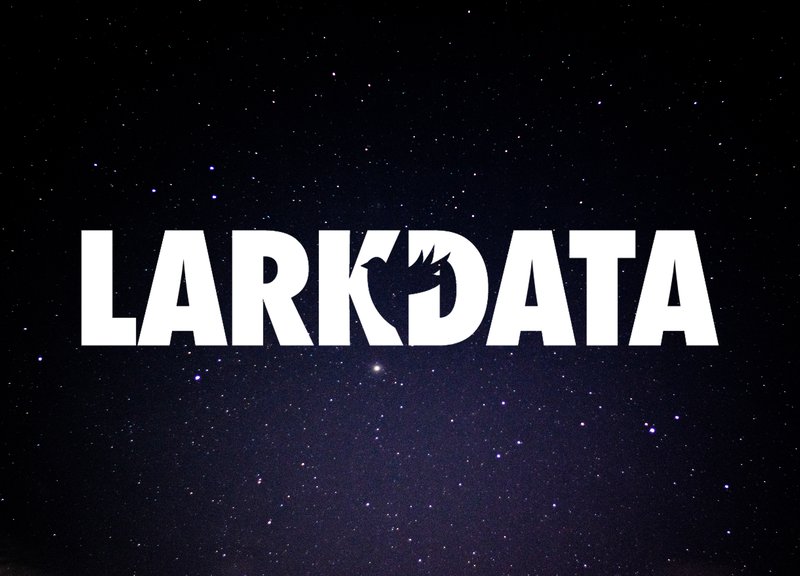 LarkData