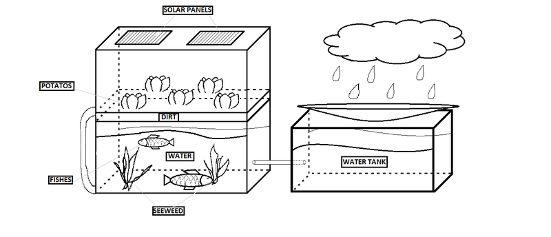 Sustainable Agriculture