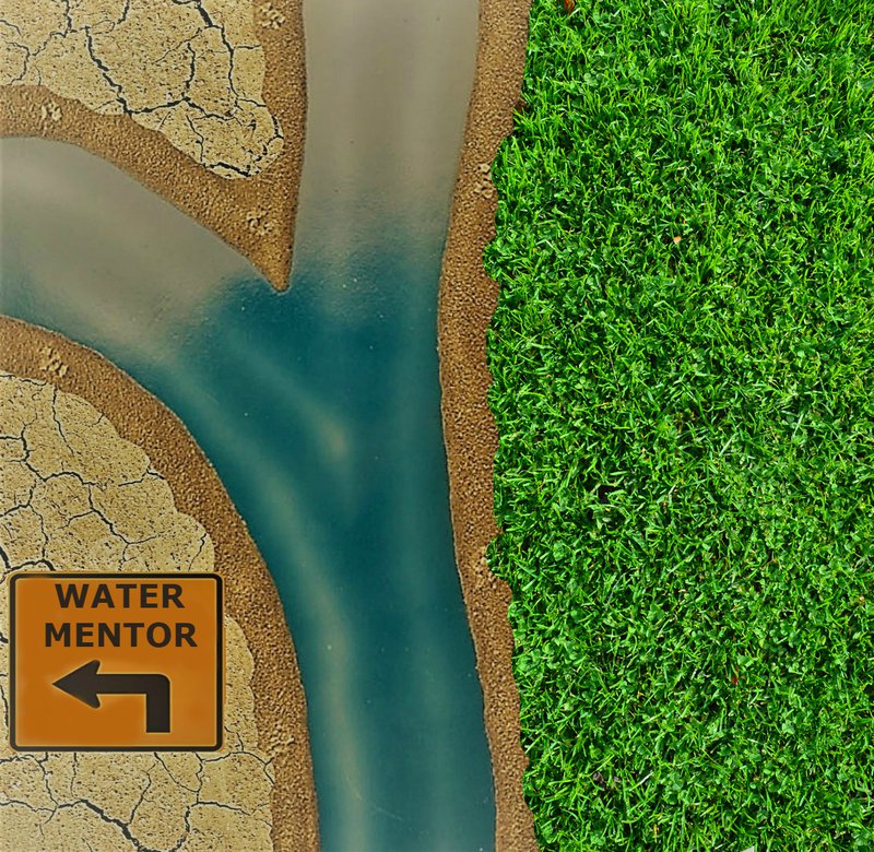 WaterMentor