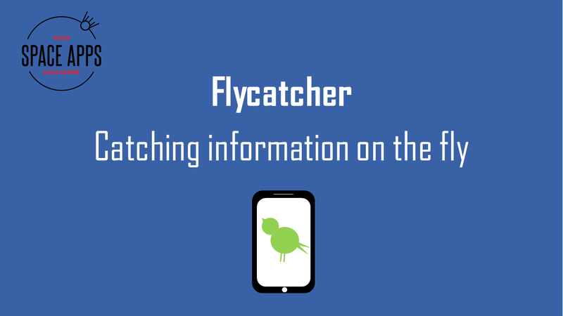 Flycatcher