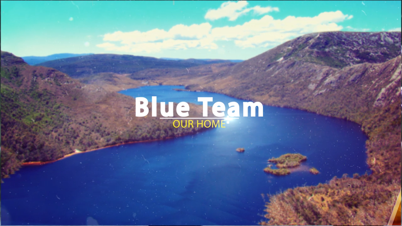 Blue Team