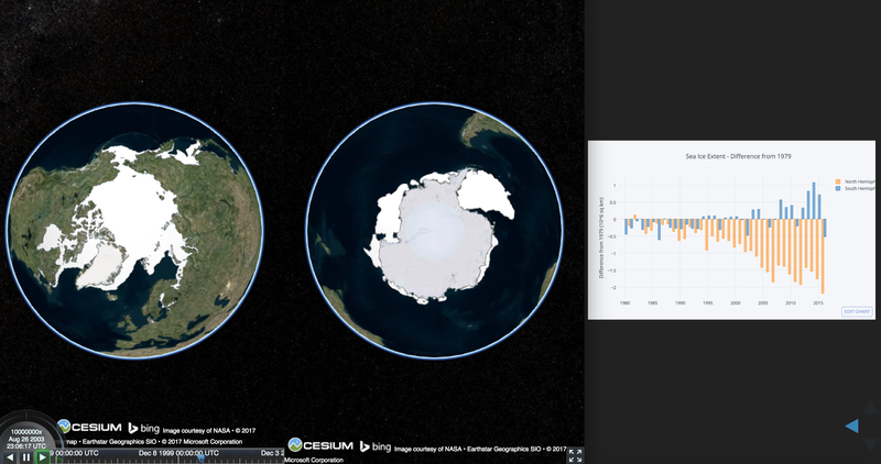 The polar bears